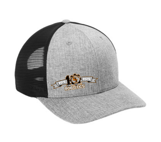 Robotics 10 Year Anniversary! - Hats